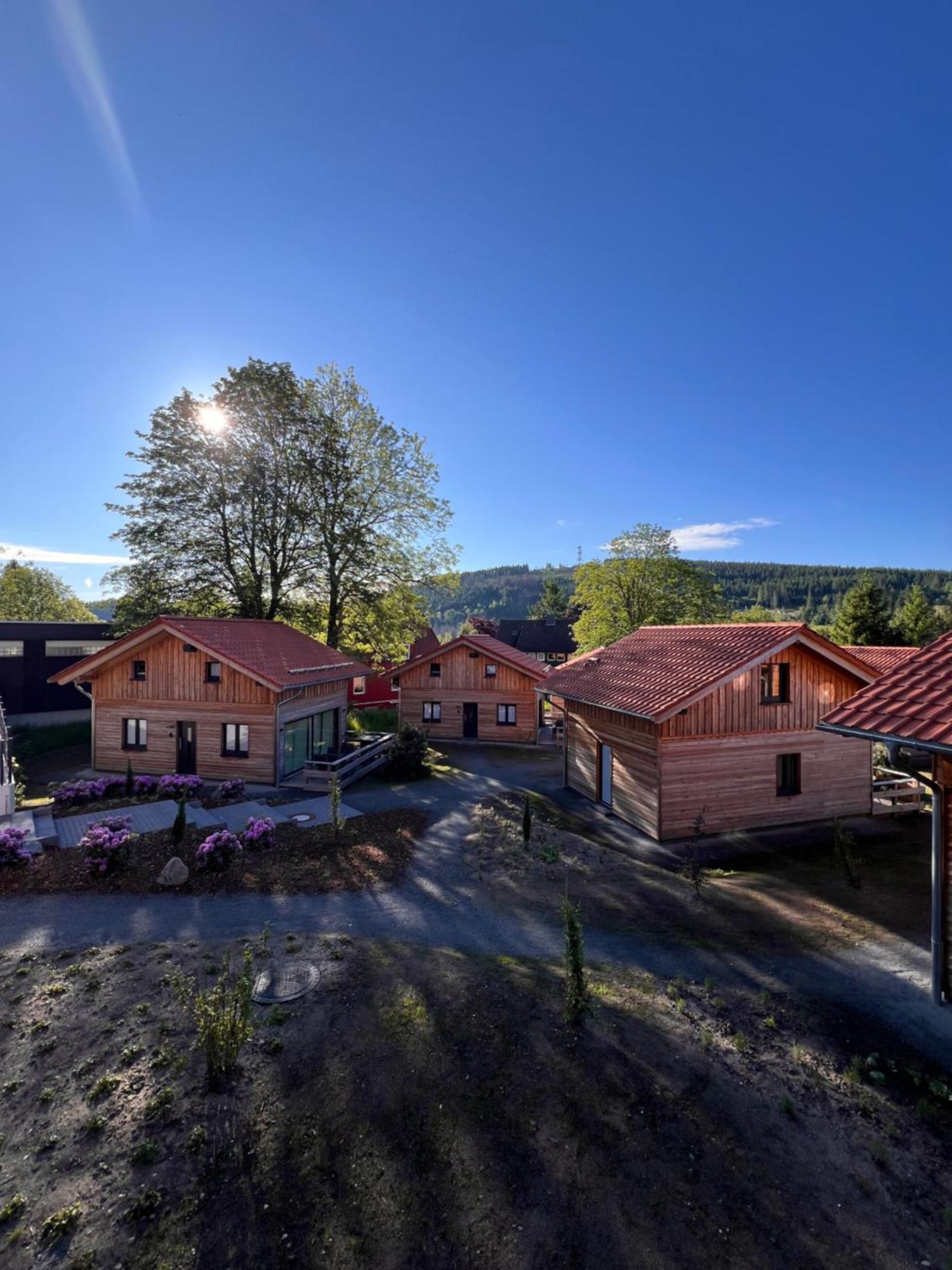 Villa Cecilienpark Oberharz Goslar Exterior foto